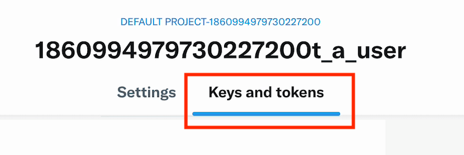 How To Create X Developer Account And Generate API Keys - TweetAhead